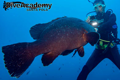 Dive Academy Santa Pola